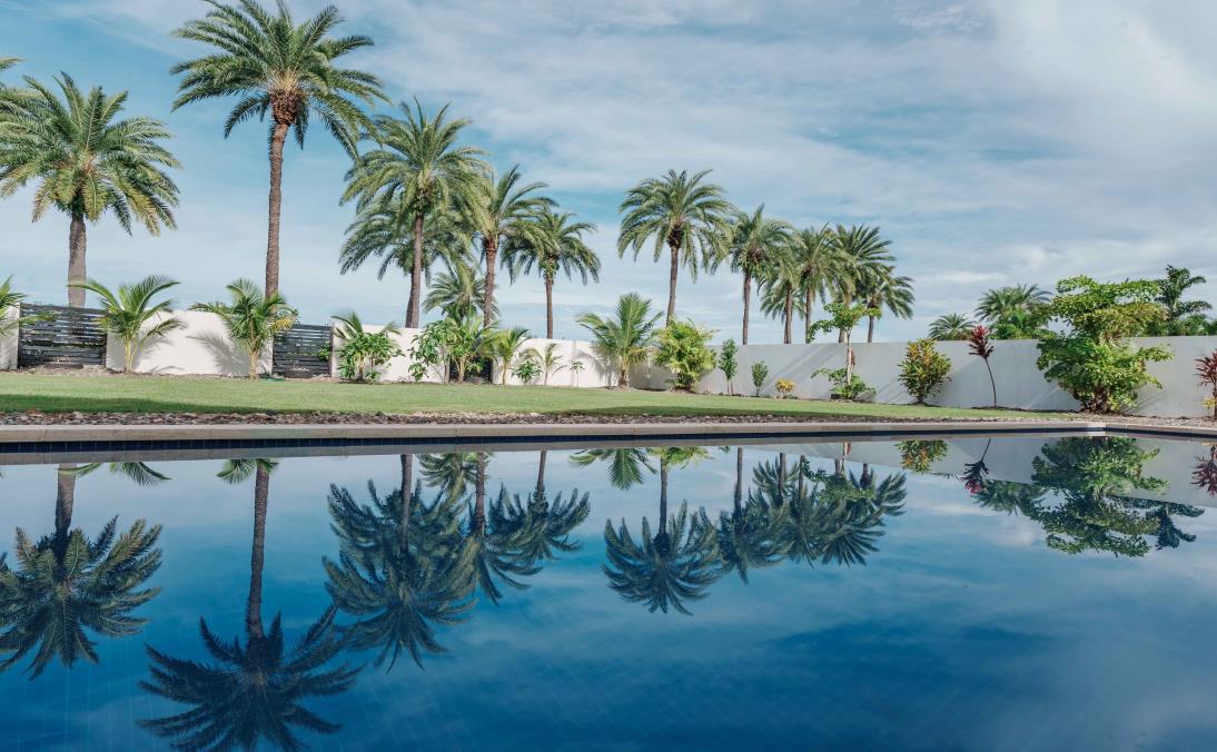 Villa 102's private pool framed by palm trees